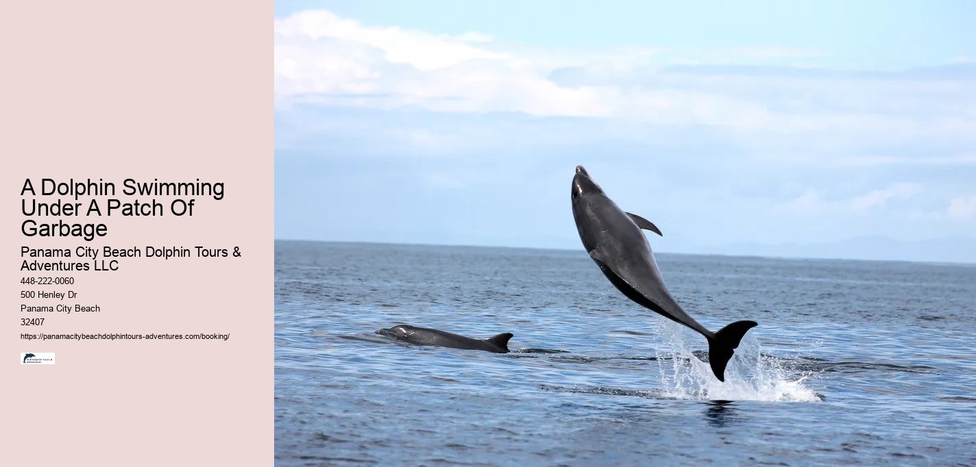 A Dolphin Swimming Under A Patch Of Garbage