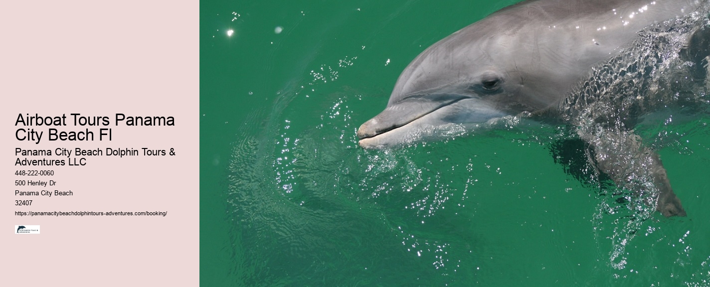 Panama City Beach Dolphin Tours & More Tours