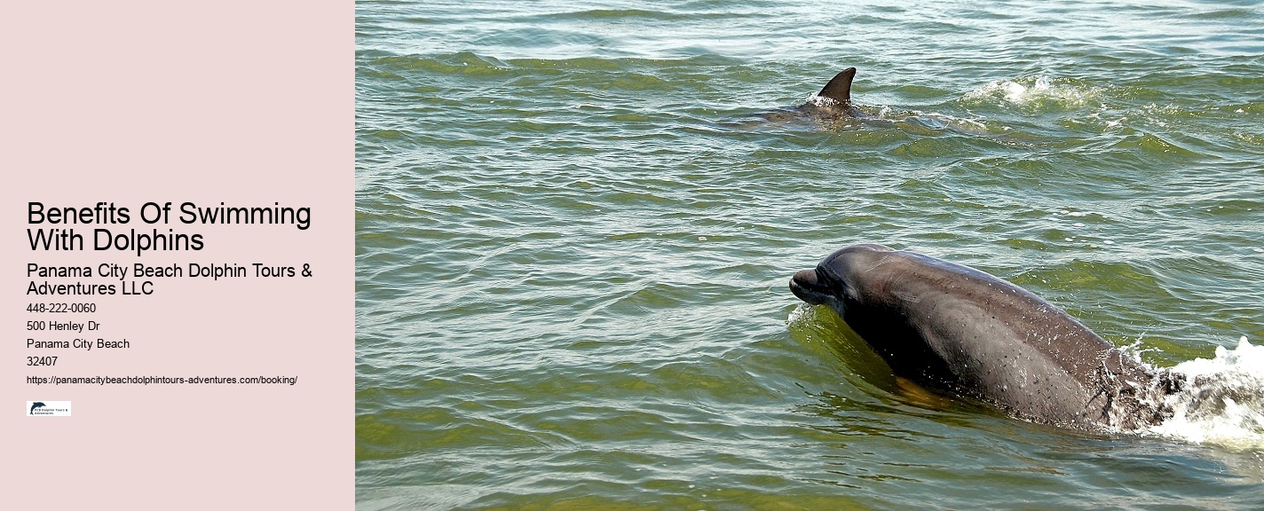 What Is Dolphin Show