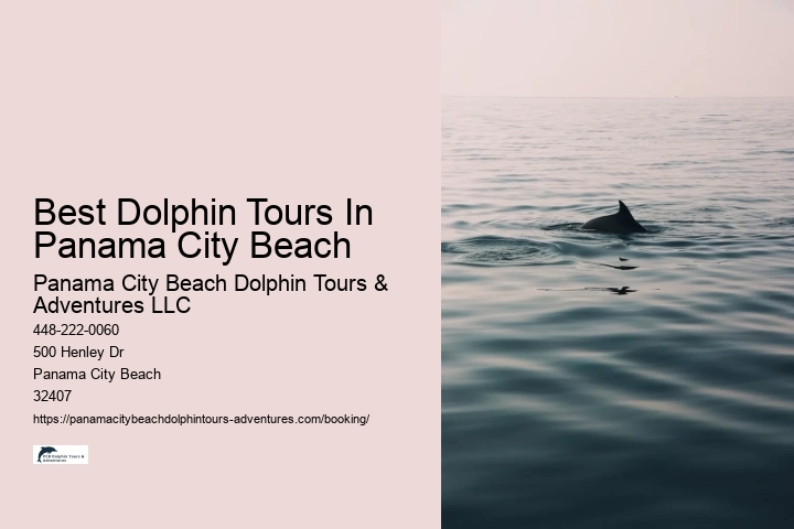 Best Dolphin Tours In Panama City Beach