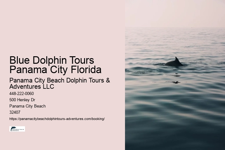 Blue Dolphin Tours Panama City Florida