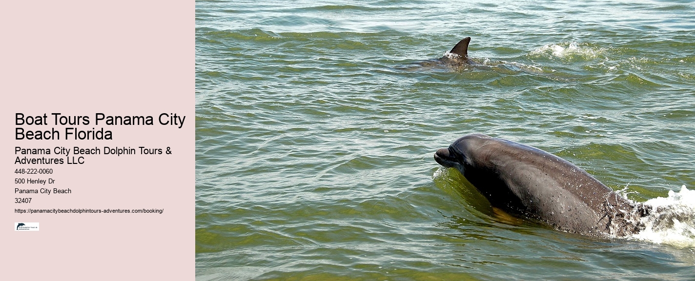 Dolphin Cruise In Panama City Beach Florida