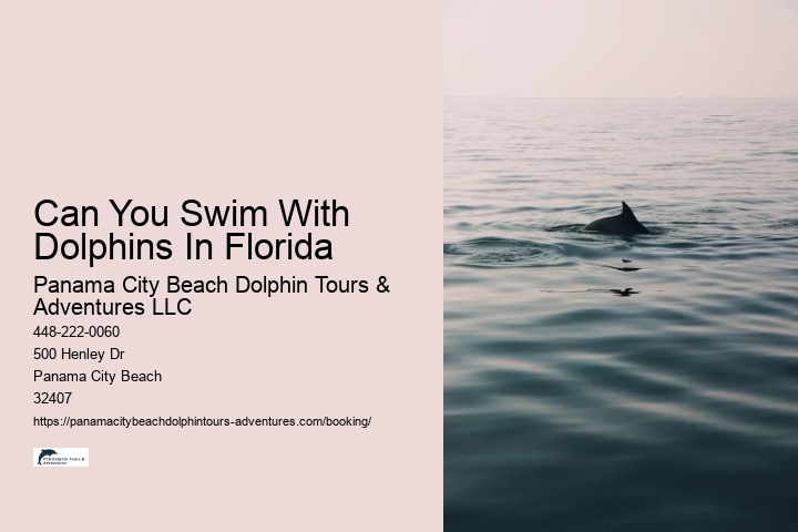 Can You Swim With Dolphins In Florida