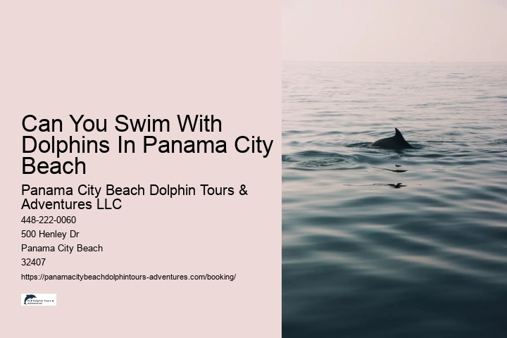 Can You Swim With Dolphins In Panama City Beach