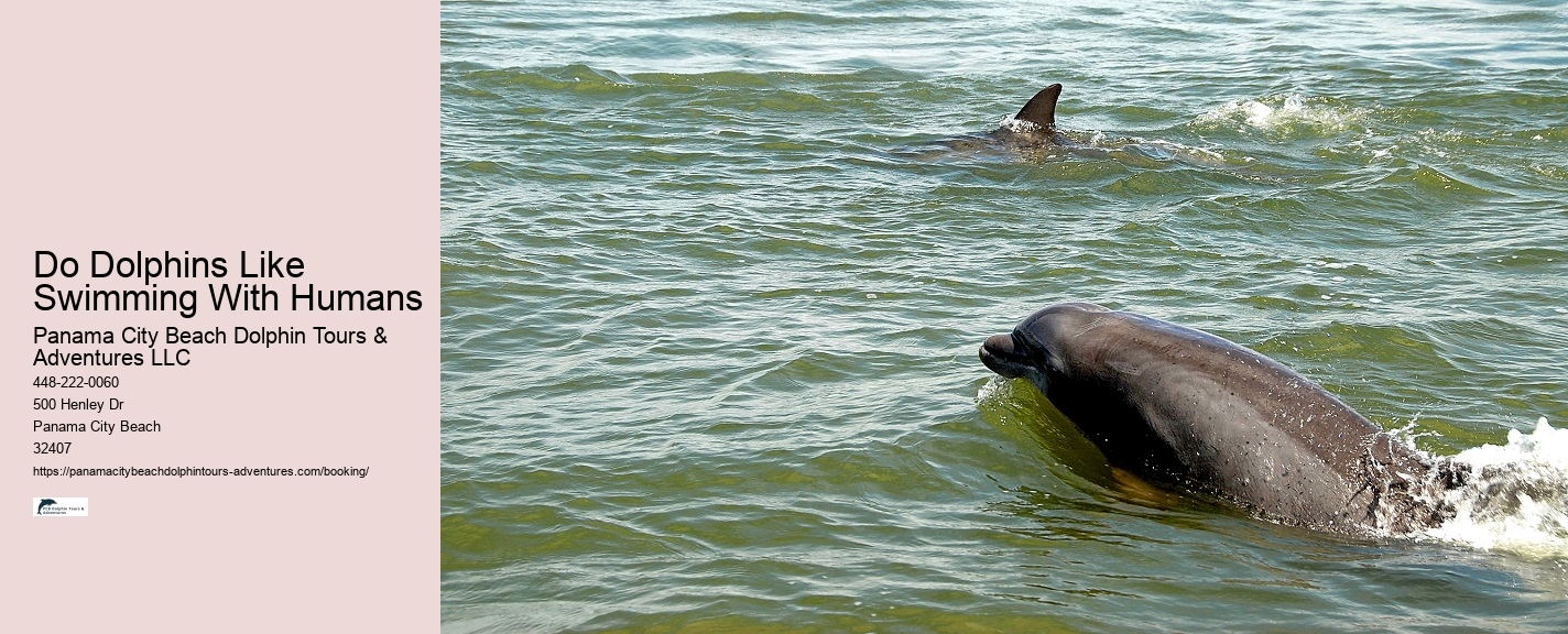 Glass Bottom Boat Dolphin Tour