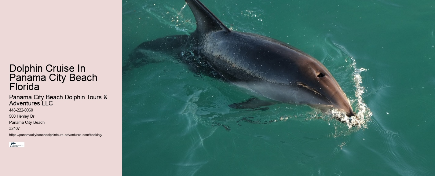 Dolphin Swimming Above Water