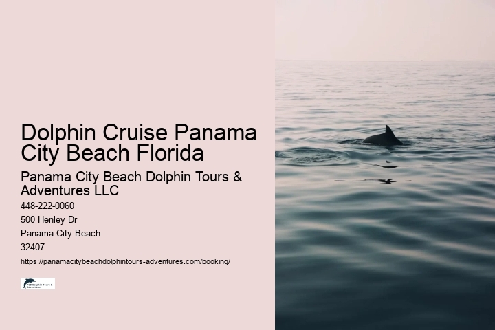 Dolphin Cruise Panama City Beach Florida