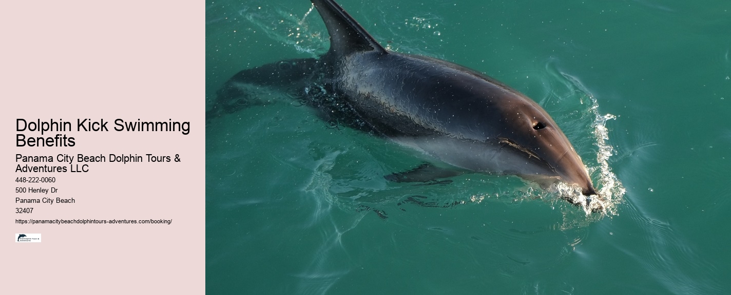 Dolphin And Snorkeling Tours Panama City Beach