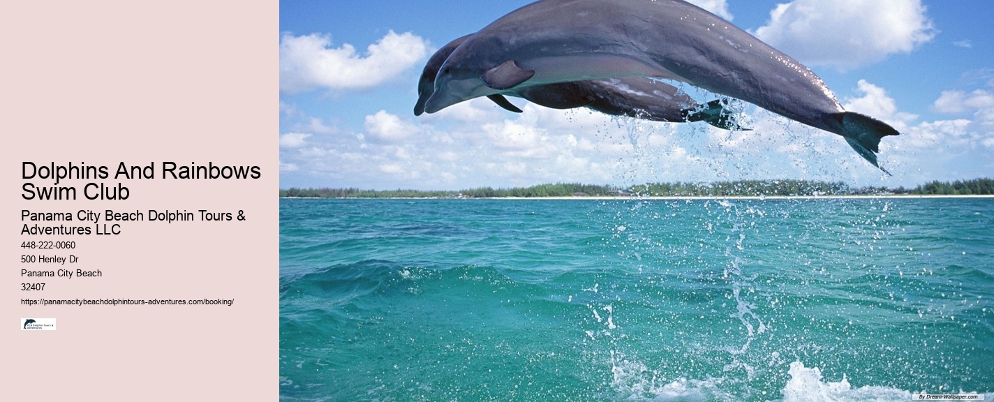 What is the best time to see dolphins in Panama City Beach