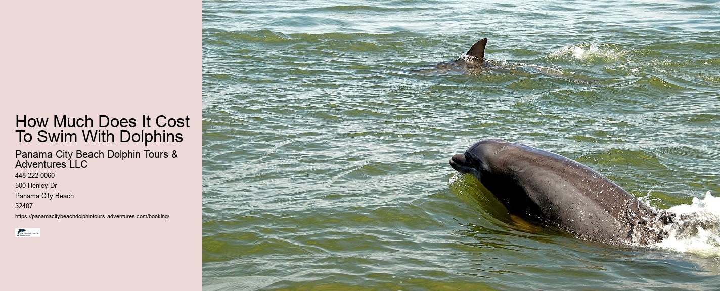 Blue Dolphin Tours Panama City Beach