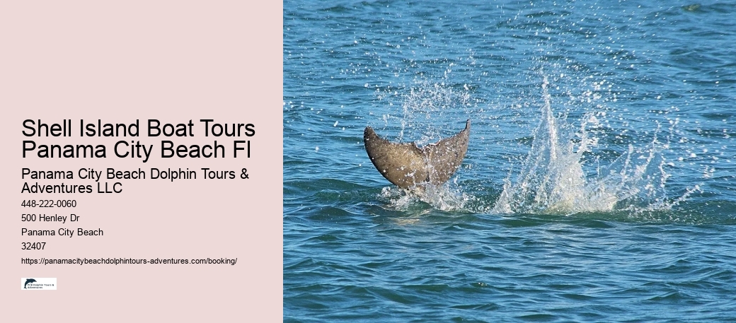 Shell Island Boat Tours Panama City Beach Fl