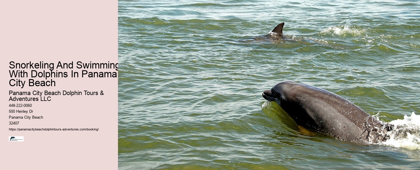 Coastal Wildlife