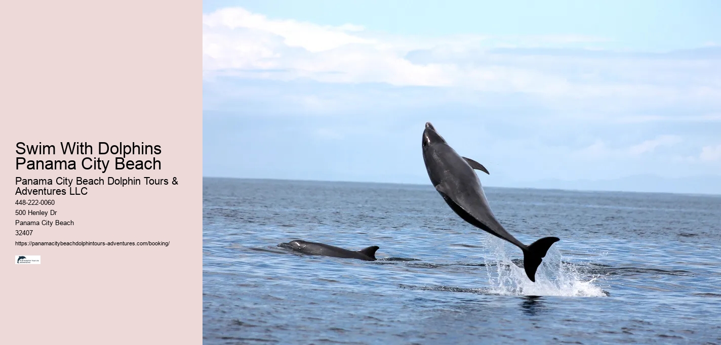 Swim With Dolphins Panama City Beach