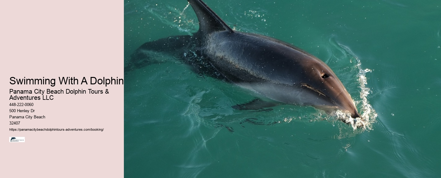 Why Dolphins Like To Swim With Boats