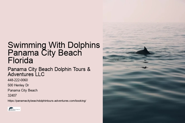 Swimming With Dolphins Panama City Beach Florida