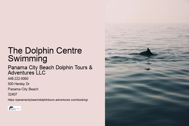 The Dolphin Centre Swimming